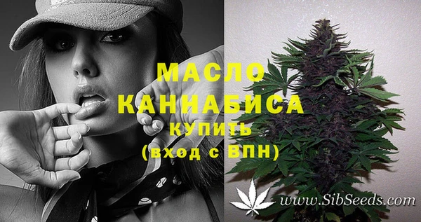 гашик Абдулино