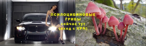 дживик Алзамай