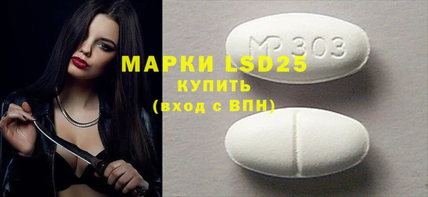 ПСИЛОЦИБИНОВЫЕ ГРИБЫ Абаза