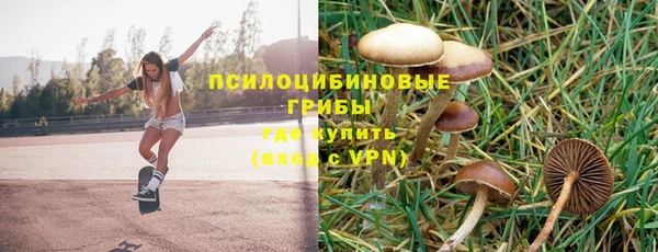 гашик Абдулино