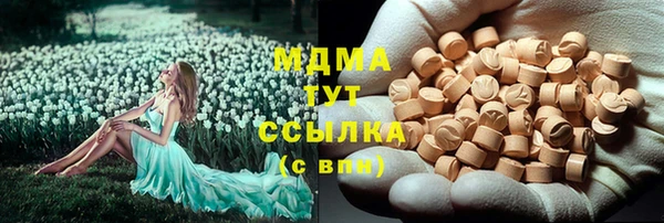 ПСИЛОЦИБИНОВЫЕ ГРИБЫ Абаза