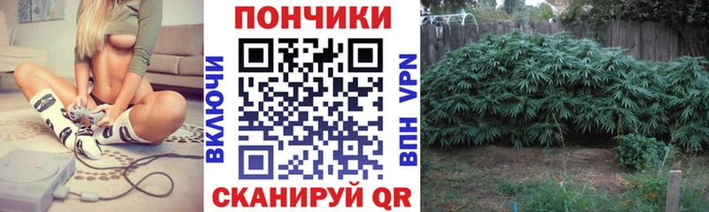 Канабис White Widow  Фатеж 